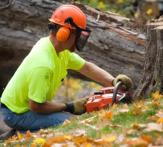 tree services Elon